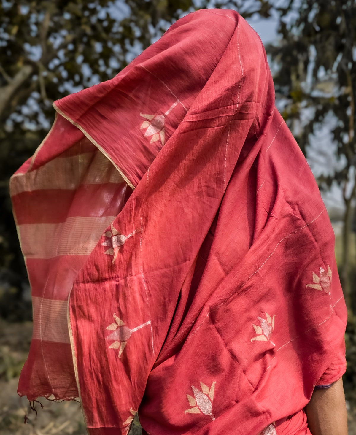 Shapla Jamdani Saree
