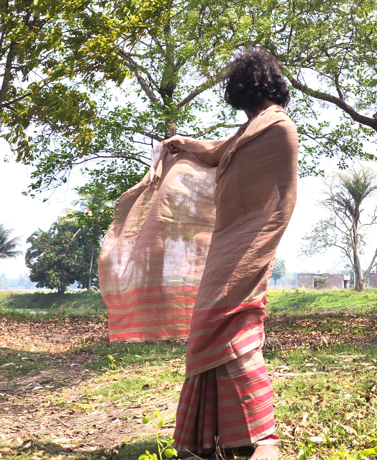 Manobi Cotton Stripe Saree