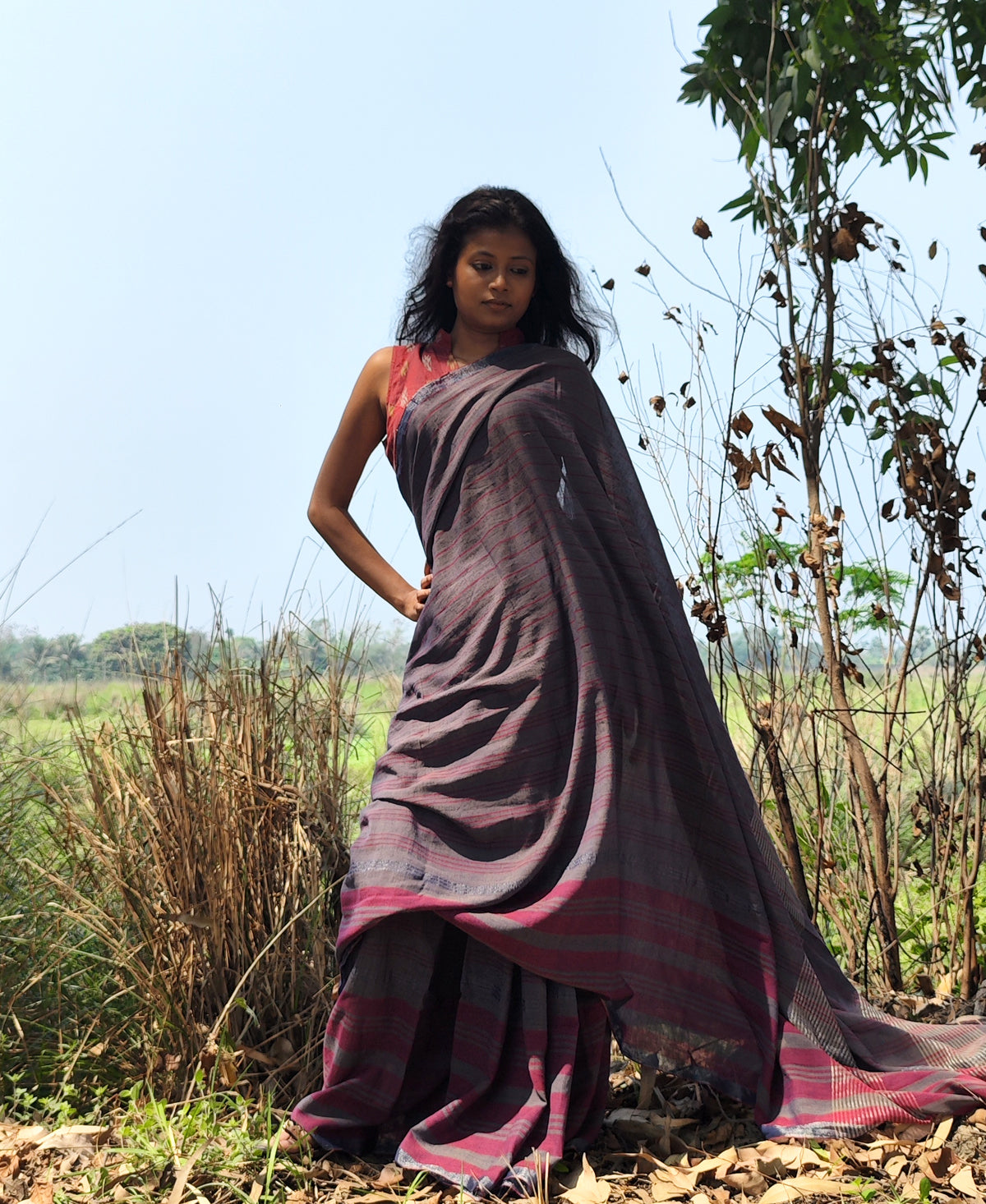 Alo Chaya Cotton Stripe Saree